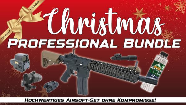 Christmas | Professional Bundle